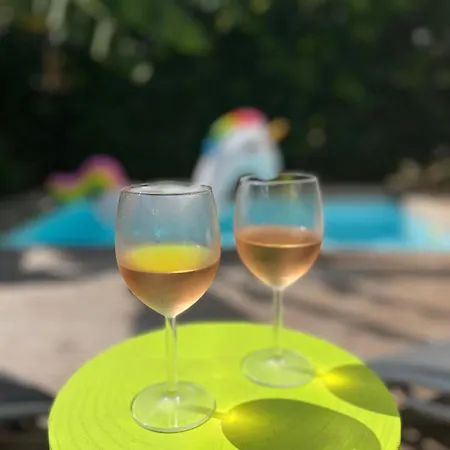 Entier - Piscine - Jacuzzi Mons (Haute-Garonne)